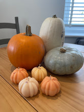 Load image into Gallery viewer, Crystal Halloween Candles - Pumpkin & Skull